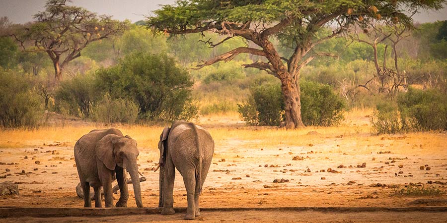 Hwange National Park